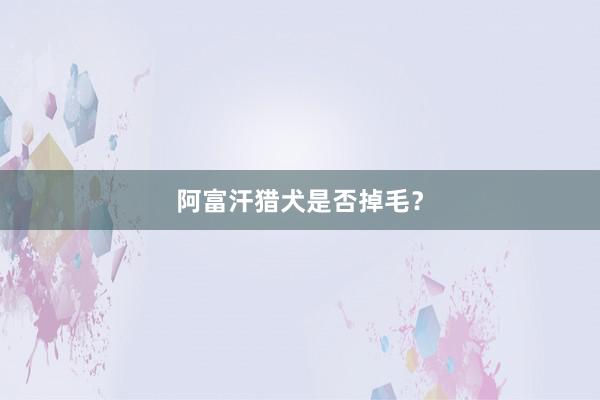 阿富汗猎犬是否掉毛？